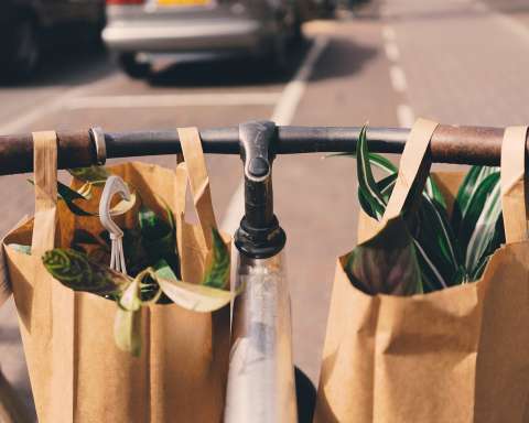 two brown paper bags on bicycle handle bar