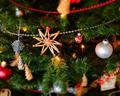 Close-up of Christmas Decoration Hanging on Tree